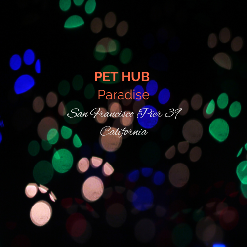 PET HUB Paradise